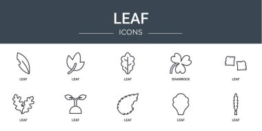 Rapor için yaprak, yaprak, yonca, vektör simgeleri, sunum, diyagram, web tasarımı, mobil uygulama gibi 10 ana hatlı web yaprağı simgesi kümesi