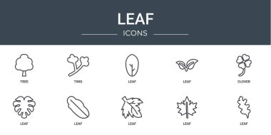 Ağaç, dal, yaprak, yaprak, yonca, rapor, sunum, diyagram, web tasarımı, mobil uygulama gibi 10 ana hatlı web yaprağı simgesi kümesi