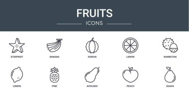 Rapor için yıldız meyvesi, muz, durian, limon, rambutan, limon, çam vektör simgeleri, sunum, diyagram, web tasarımı, mobil uygulama gibi 10 ana hatlı web meyve simgesi seti