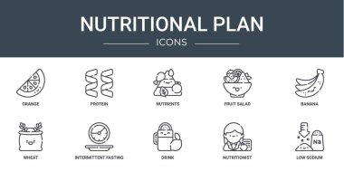 Rapor, sunum, diyagram, web tasarımı, mobil tasarım, portakal, protein, besin, meyve salatası, muz, buğday, aralıklı oruç vektör simgeleri gibi 10 ana hatlı beslenme planı simgesi seti