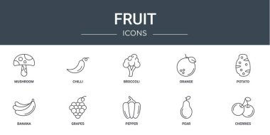Rapor için mantar, biber, brokoli, portakal, patates, muz, üzüm vektör simgeleri, sunum, diyagram, web tasarımı, mobil uygulama gibi 10 ana hatlı web meyve simgesi kümesi