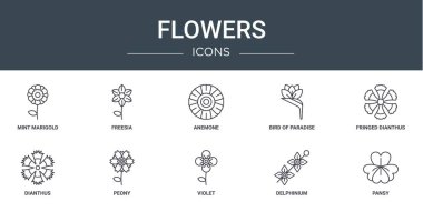 Nane kadife çiçeği, frezya, anemon, cennet kuşu, fırfırlı dianthus, dianthus, sunum, diyagram, web tasarımı, mobil tasarım gibi 10 ana hatlı web çiçek ikonu seti