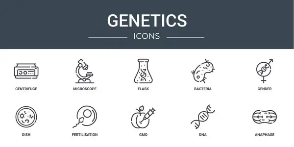 stock vector set of 10 outline web genetics icons such as centrifuge, microscope, flask, bacteria, gender, dish, fertilisation vector icons for report, presentation, diagram, web design, mobile app