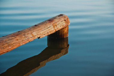 Yaşlı İskele ahşap direği, sakin bir gelgitte, yakın plan..