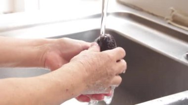 Yaşlı Meksikalı kadın olgun avokadoları akan suyla yıkıyor..