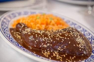 Kavrulmuş susam tohumlu köstebek poblano ve düğün için buharda pilav, Talavera kil tabağında, yakın plan..