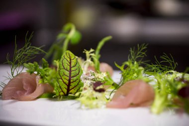Kaliteli İskandinav salatası, somon carpaccio ve mikroyeşiller, kişisel bakış açısı.