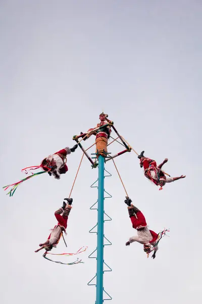 Papantla, Veracruz 'daki Meksikalı dansçılar iplerden sarkarak dans ediyorlar..
