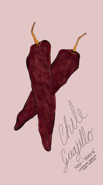 Açık mor bir arka planda iki kurutulmuş guajillo biberinin el çizimi, koyu kırmızı renkleri, ince kırışıklıkları ve zarif kavisli sapları sergileniyor..