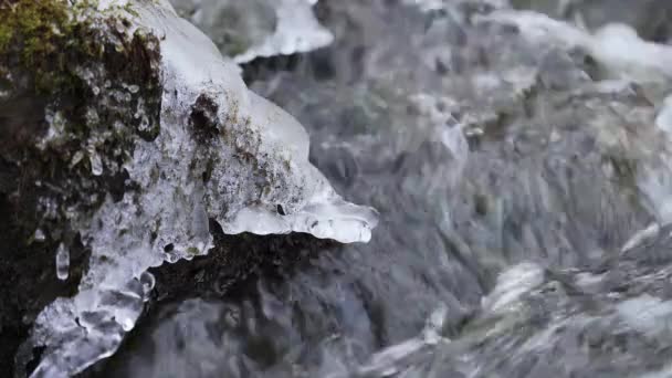 Маленькая Река Зимой Маленький Водопад Снегом Заднем Плане Талая Вода — стоковое видео