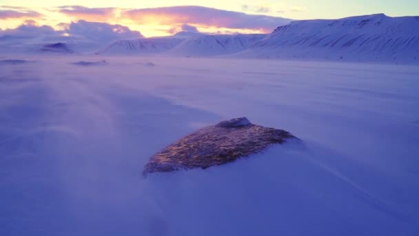 Snø Midt Svalbardvinteren Vinter Svalbard Kald Isete Snøstorm Solnedgangshimmel Snødekte – stockvideo