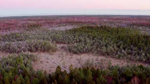 空中俯瞰一片森林环绕的沼泽地 沼泽中的游客木板路 — 图库视频影像