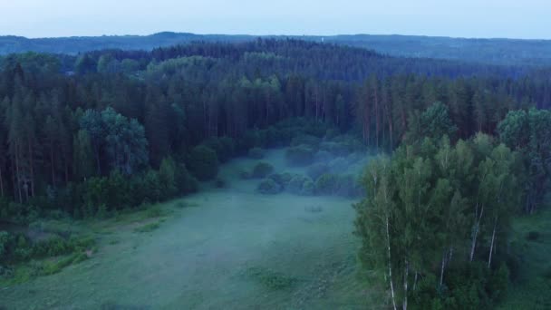 Drohne Schoss Bei Nebligem Frühlingsmorgen Flug Über Baumwipfel Wald — Stockvideo