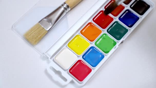 Set Watercolor Paints Brush White Background Brush Picks Red Paint — Video Stock