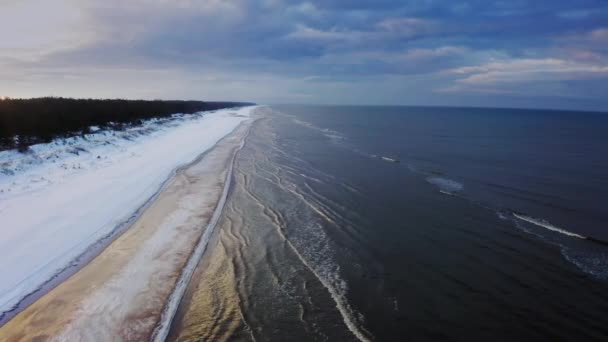 Aerial View Baltic Sea Birds Eye View Winter European Nature — Wideo stockowe