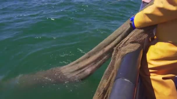 Рибалка Ловить Рибу Балтійському Морі Круглий Бичок Neogobius Melanostomus Рибалка — стокове відео