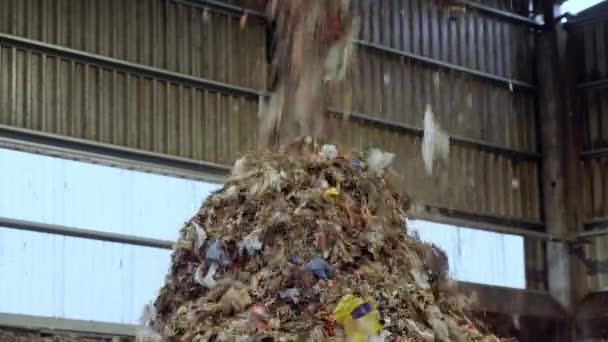 Garbage Moving Conveyor Wast Recycling Plant Bad Quality Organic Waste — Video