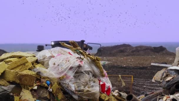 Garbage Dump Waste Plastic Polyethylene Food Waste Bulldozer Landfill Working — Wideo stockowe
