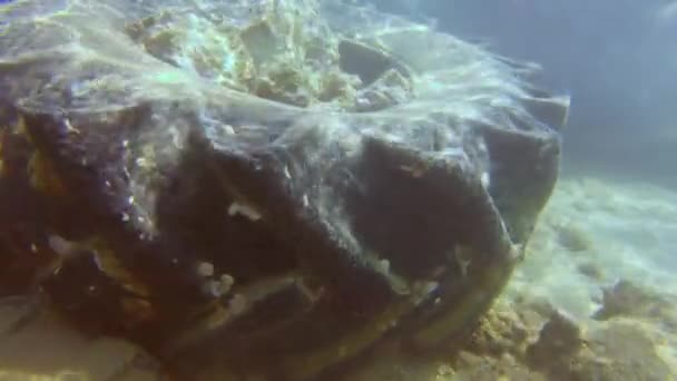Environmental Pollution Pollution Mediterranean Sea Old Tires Dumped Mediterranean Sea — Wideo stockowe