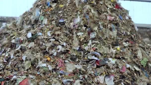 Bad Quality Organic Waste Polluted Plastic Garbage City Waste Management — Stockvideo