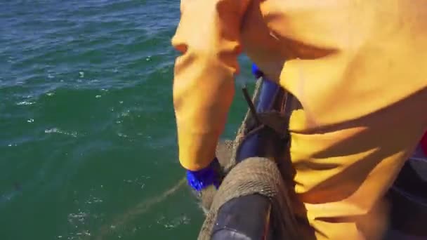 漁師はバルト海で釣りをしている 丸ゴビー ネオゴビオス メラノストムス — ストック動画