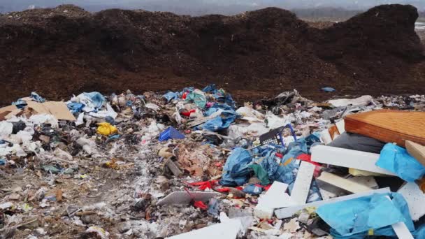 Мусоросброс Отходами Пластика Полиэтилена Пищевых Отходов Кадры Prores — стоковое видео