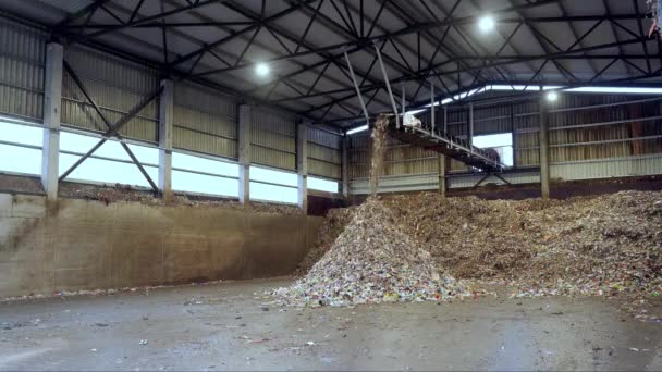 Eliminación Basura Para Reciclaje Reutilización Bulldozer Hangar Basura Clasificación Residuos — Vídeo de stock