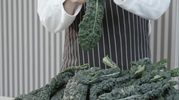 Cook Prepares Tuscan Cabbage Cale Nero Cavolo Nero Lacinato Kale — Stok video