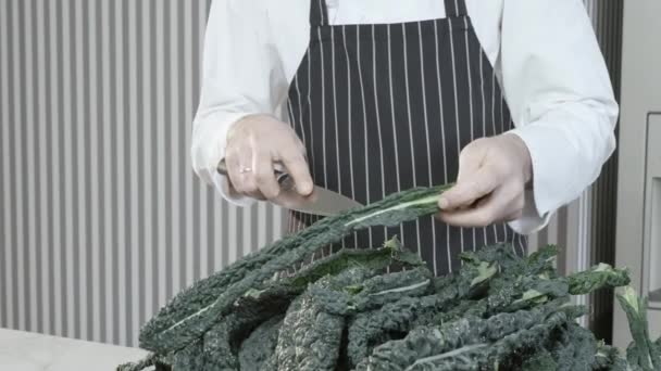 Cook Prepares Tuscan Cabbage Cale Nero Cavolo Nero Lacinato Kale — Stock Video
