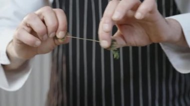 Chef peeling rosemary leaves from the branch close-up in slow-motion. Food preparing. High quality 4k footage