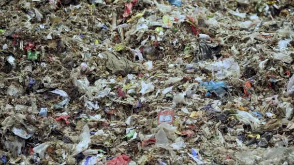 Κακή Ποιότητα Οργανικών Αποβλήτων Μολυσμένων Πλαστικά Σκουπίδια Στο Εργοστάσιο Διαχείρισης — Αρχείο Βίντεο