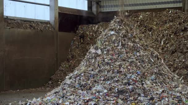 Trash Disposal Recycling Use Garbage Hangar Waste Sorting Hangar — Video Stock