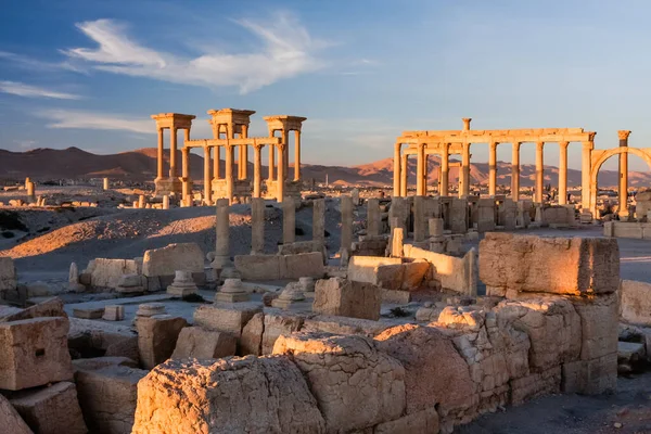 Пальмира Сирия Руины Древнего Города Пальмира Восход Солнца Пальмире Сирия — стоковое фото