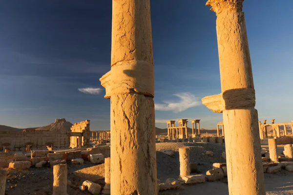 Palmyra 叙利亚 古代城市Palmyra的废墟 叙利亚帕尔迈拉的日出 战争前Middle East December 2010 高质量的照片 — 图库照片