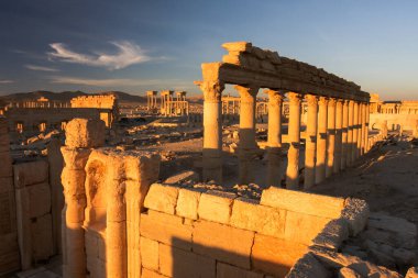 Savaştan önce Suriye 'deki antik Palmyra şehrinin kalıntıları. Suriye 'deki Palmyra. Palmyra, Suriye, Orta Doğu. Aralık 01, 2010. Yüksek kalite fotoğraf