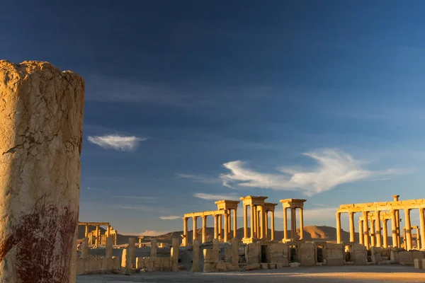 Gyönyörű Kilátás Nyílik Romok Sivatagban Szíria Palmyra Naplementekor Palmyra Háború — Stock Fotó