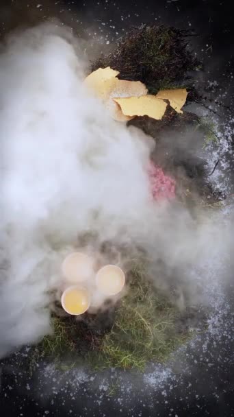 Miracoli Cucina Cucina Molecolare Tartaro Stilizzato Diviso Ingredienti Fumigato Con — Video Stock