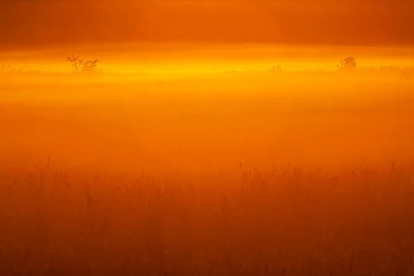 Misty Red Golden Landscape Sunrise European Nature Sunrise Sunset Natural — Stock Photo, Image