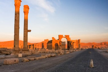 Palmyra - Suriye, antik Palmyra şehrinin kalıntıları. Palmyra 'da gün doğumu,
