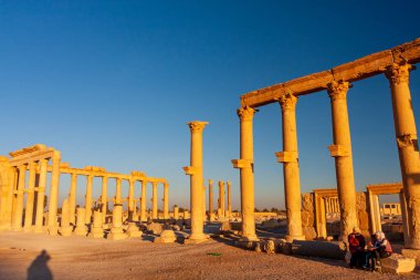 Suriye, Palmira Sütunları. Palmyra, 1 Aralık 2010 'da savaştan önce harabe halindeydi. Yüksek kalite fotoğraf