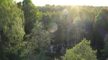 İnsansız hava aracı eski yeşil yaprak döken orman üzerinde uçuyor. Avrupa doğasında bahar. Ormanda güzel güneş ışığı, çevre kavramı. Yüksek kalite 4K, ProRes görüntüleri
