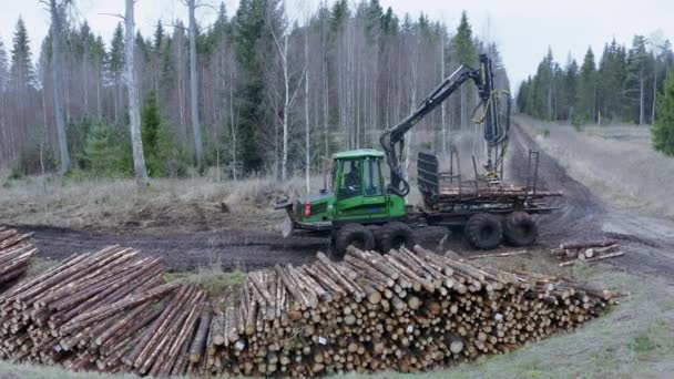 Luchtfoto Bosbewerkingsgebied Houthakker Met Werken Een Bos Bosbouw Houtindustrie Ontbossing — Stockvideo