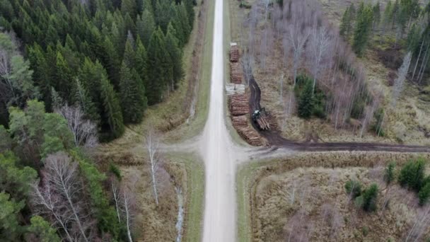 Légi Felvétel Lefelé Erdővágó Terület Favágó Aki Erdőben Dolgozik Erdészeti — Stock videók