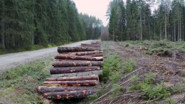 Utsikt Över Flygplanet Staplade Trädstammar Inverkan Avskogning Och Tung Industri — Stockvideo