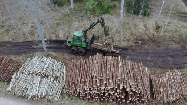 Aerial Forest Cutting Area Lumberjack Working Forest Forestry Lumber Industry — Stock Video