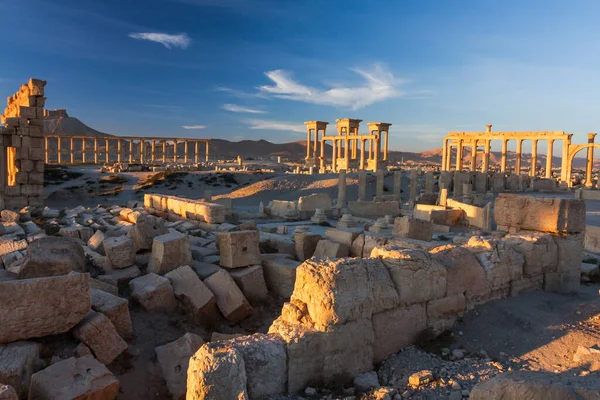 Palmyra - Suriye, antik Palmyra şehrinin kalıntıları. Palmyra, Suriye 'de gün doğumu. Savaştan önce. Orta Doğu 01 Aralık 2010. Yüksek kalite fotoğraf