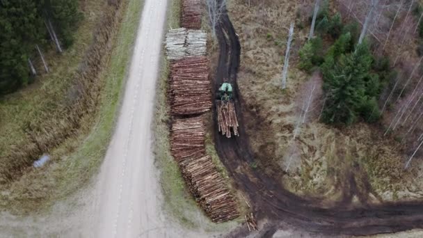 Légi Erdővágó Terület Favágó Aki Erdőben Dolgozik Erdészeti Faipari Ágazat — Stock videók
