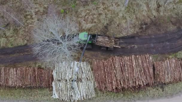 森林采伐区 在森林里干活的伐木工 林业和木材业 森林砍伐 高质量的4K镜头 — 图库视频影像