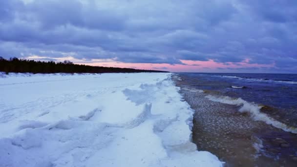 Letecký Pohled Baltské Moře Zimě Ptačí Perspektivy Sněžná Pláž — Stock video