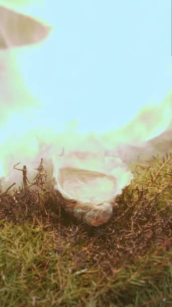 Ostrygi Dymie Pionowe Wideo Filmik Zwolnionym Tempie Świeżo Otwarta Ostryga — Wideo stockowe